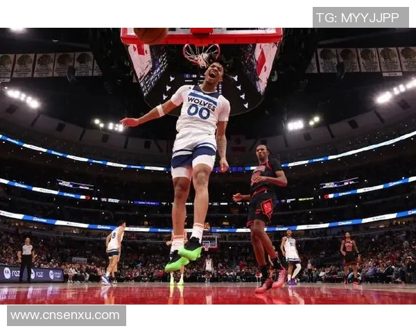 森林狼与公牛对决分析：战术策略与球员表现的全面解读