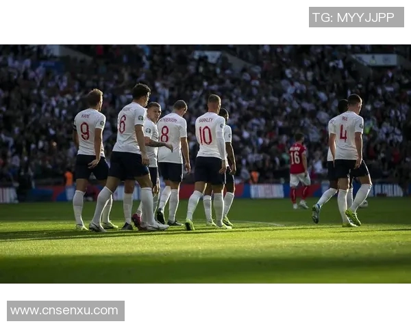 梅斯足球俱乐部的辉煌历程与未来展望：从历史到现代的足球之旅