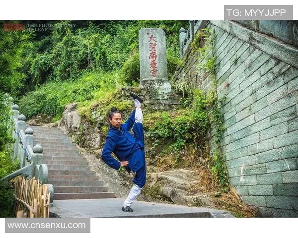 探索形意八卦掌的奥秘与实战应用提升内功与身心和谐的武术之道 探索形意八卦掌的奥秘与实战应用提升内功与身心和谐的武术之道