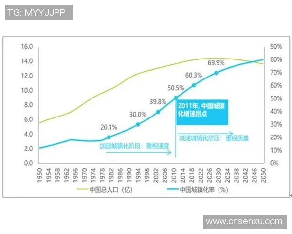 探索ccyv1技术的创新应用与未来发展趋势分析
