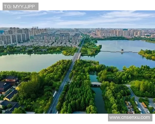 盐城湖与伐木者的对决探讨生态保护与资源开发的平衡之道