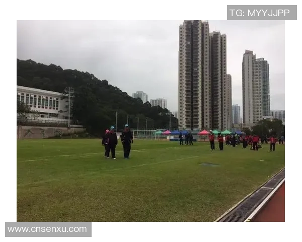 桑托斯与独立队激战正酣精彩赛事回顾与分析